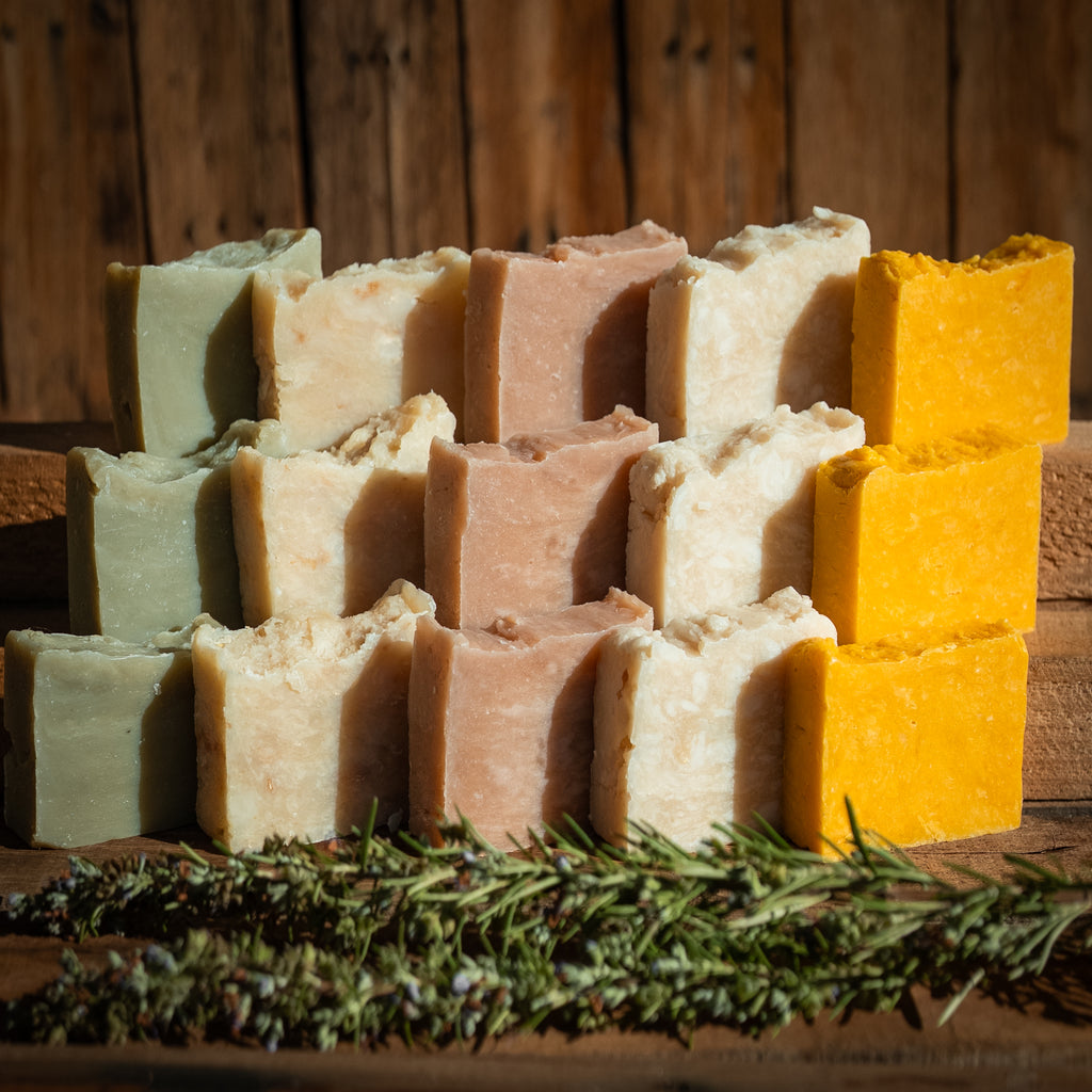 Tallow Shampoo Bars