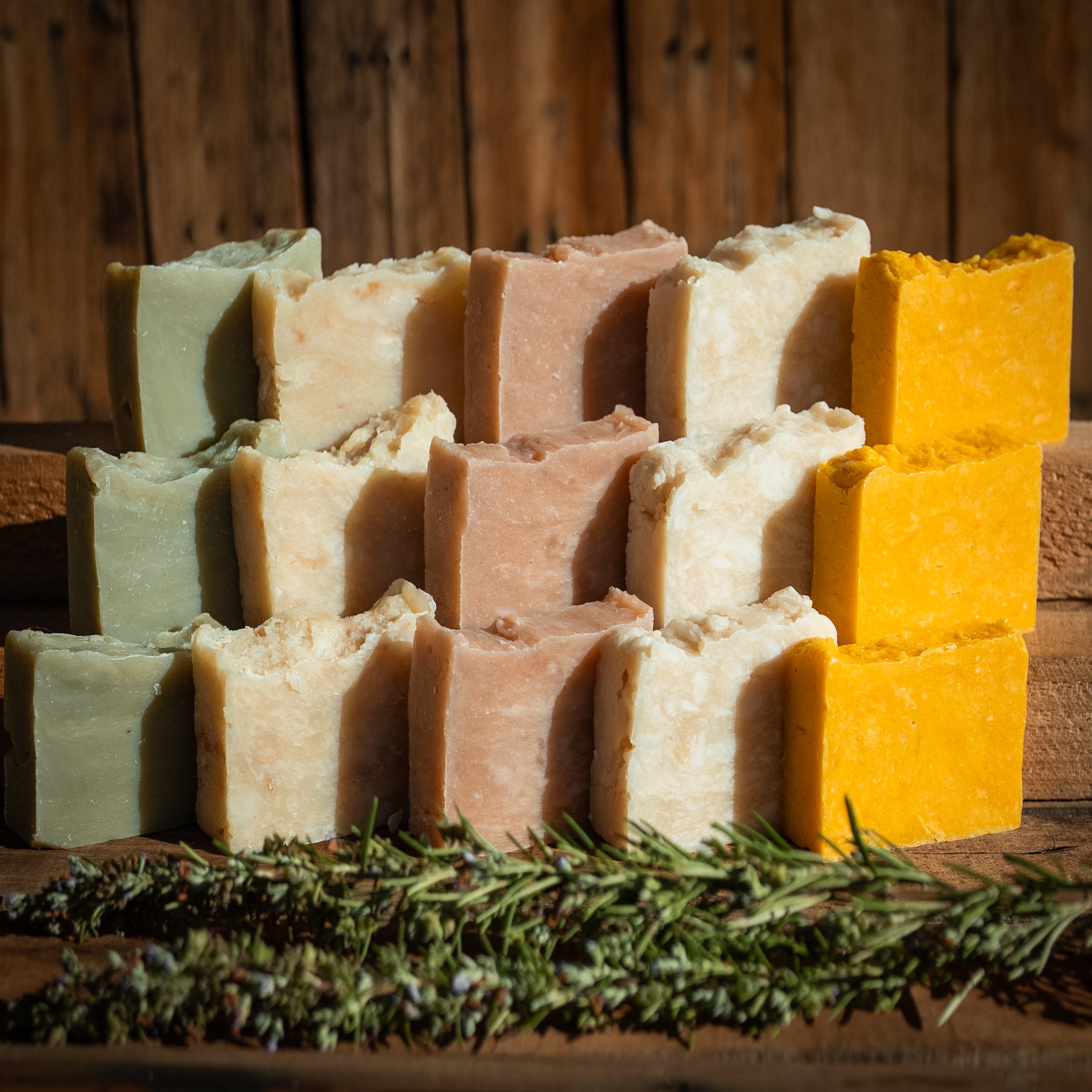 Tallow Shampoo Bars